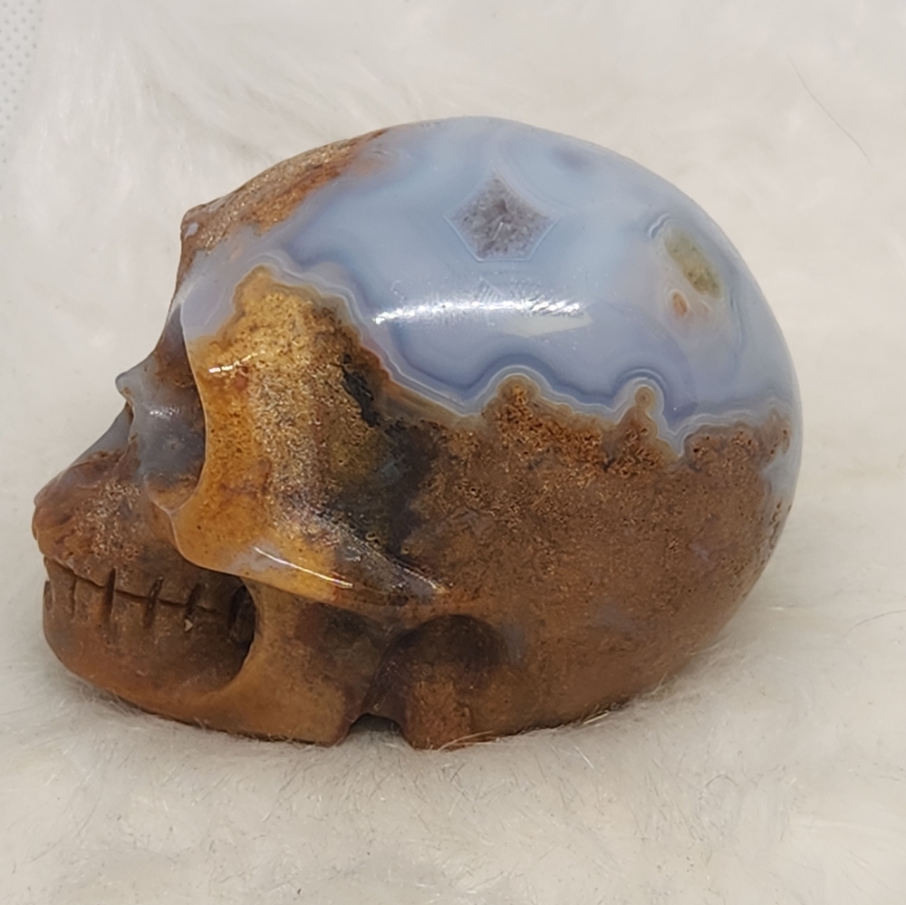 Rare Blue Banded Plume Moss Agate Skull, Druzy Quartz 💀 Crystal Collector Decor - Picture 3 of 13